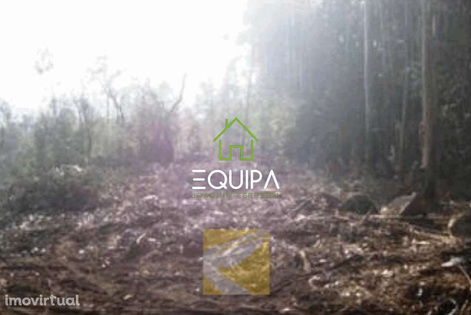 Terreno Rústico Monte Córdova- St. Tirso - Grande imagem: 3/6