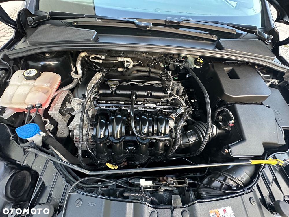 Ford Focus 1.6 Trend Sport - 24