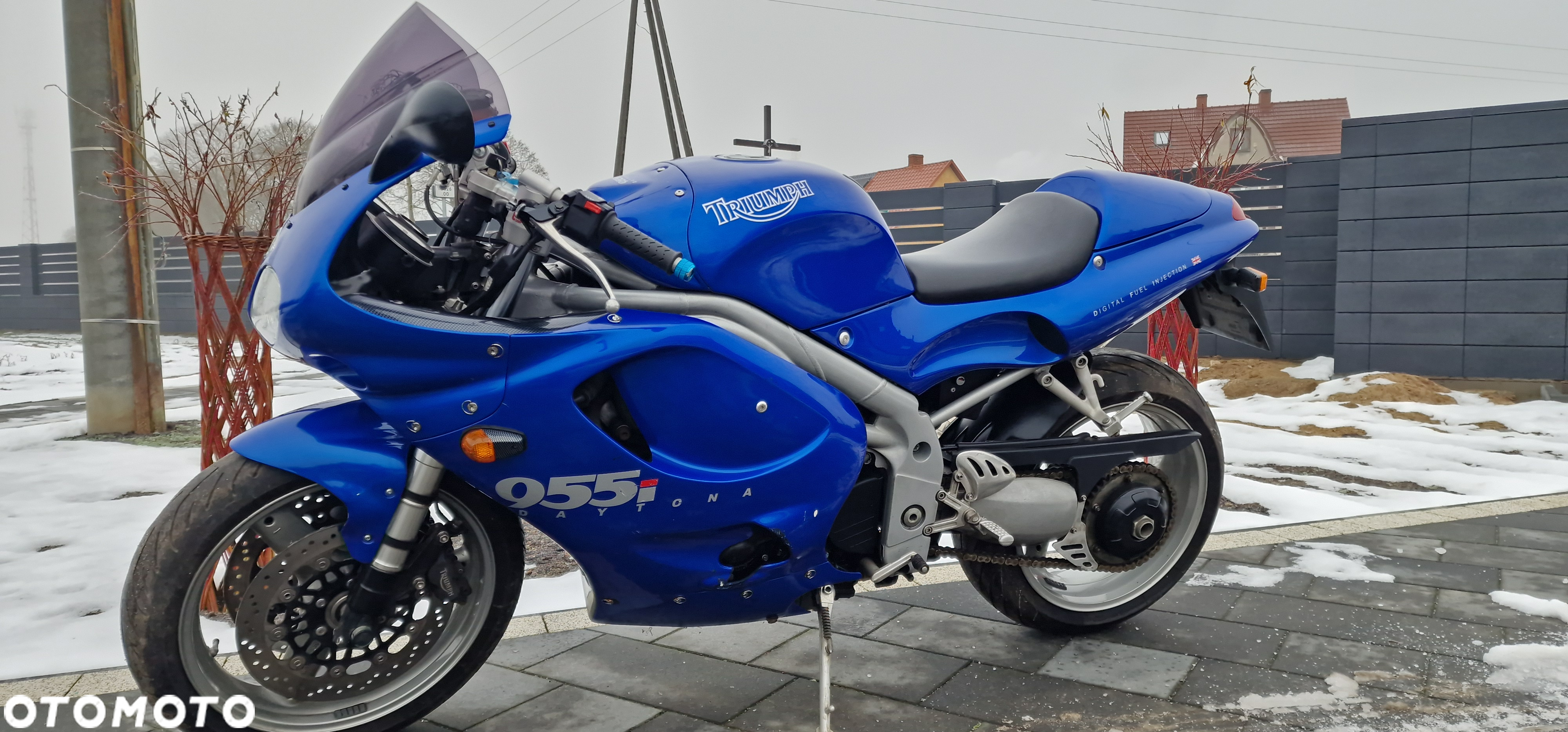 Triumph Daytona - 6