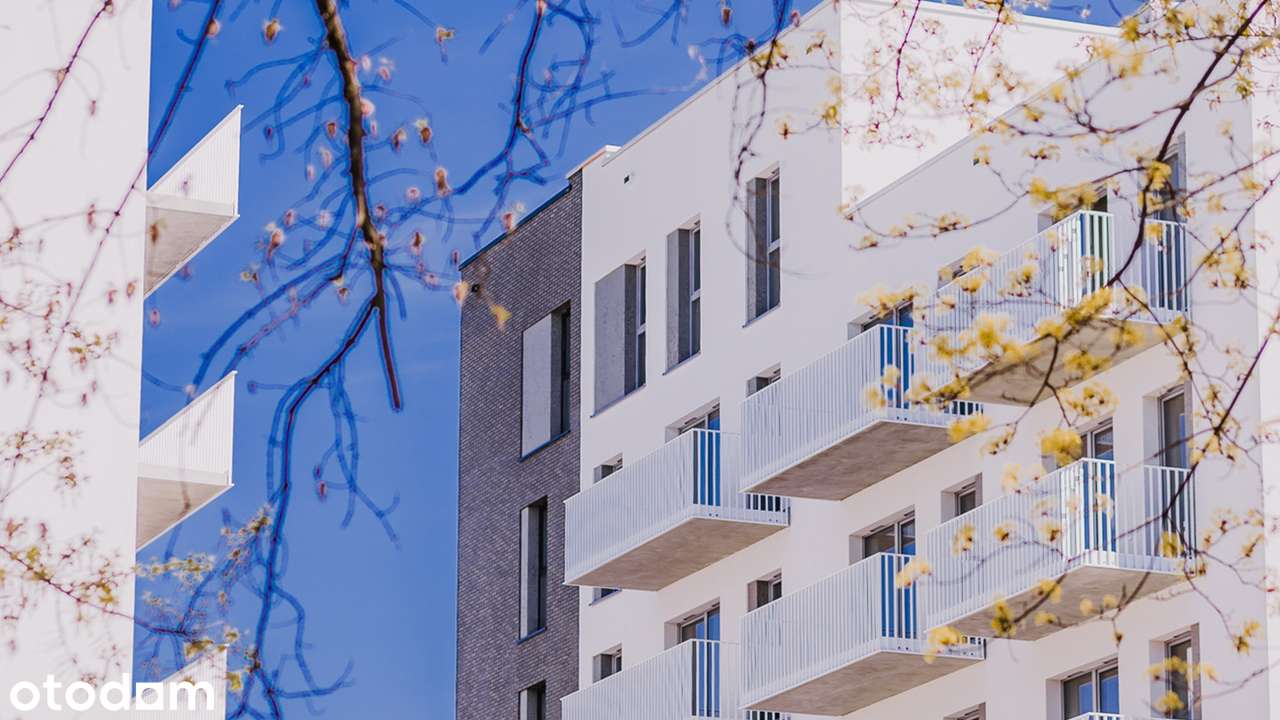 Dyfrakcja Łódzka - Pełny obrazek: 3/11