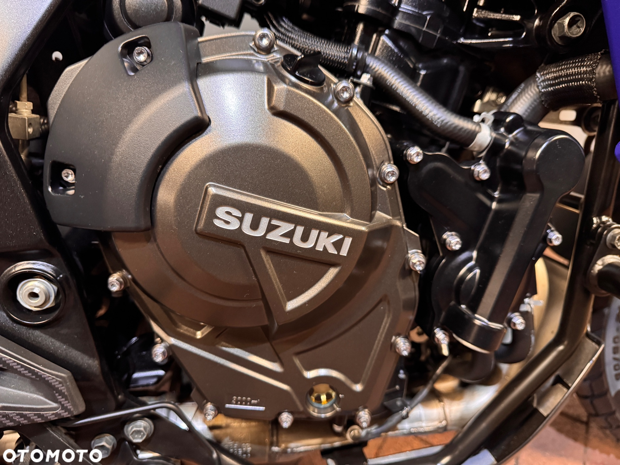 Suzuki DL - 6