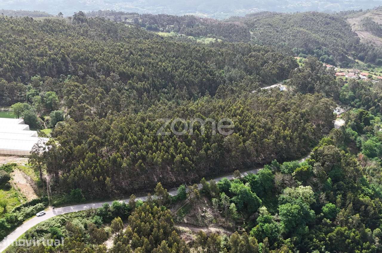 TERRENO COM 2 HECTARES POVOA DE LANHOSO - Grande imagem: 3/15