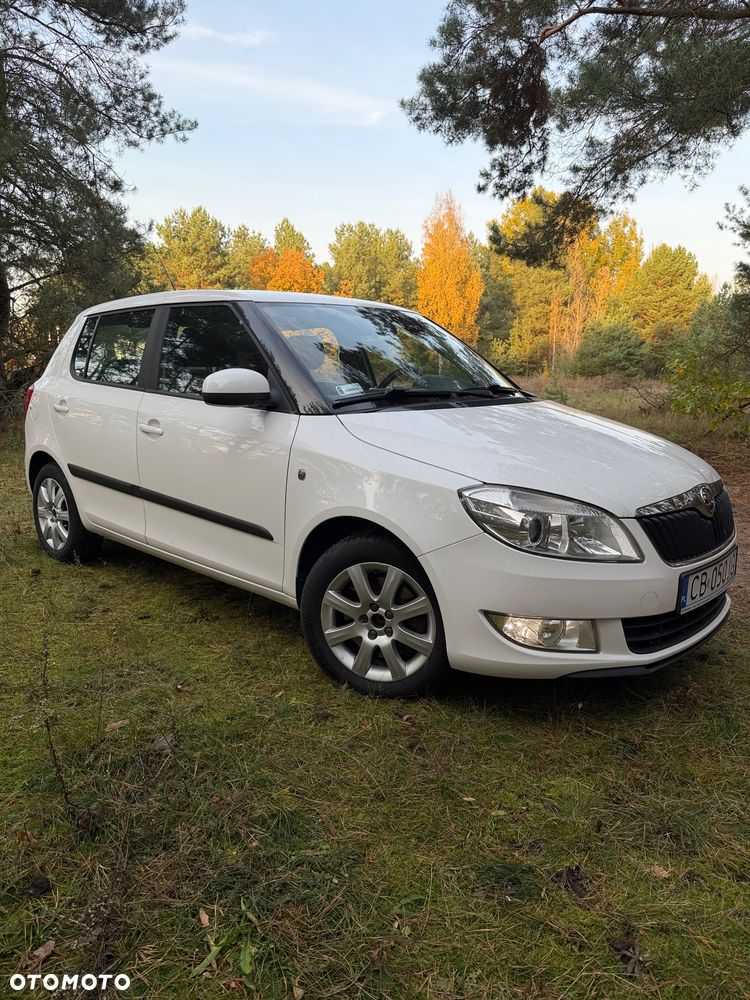 Skoda Fabia 2010 photo 3