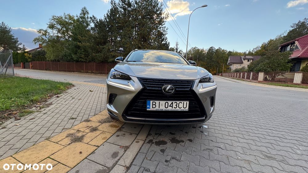 Lexus NX 300 Business Edition AWD - 6