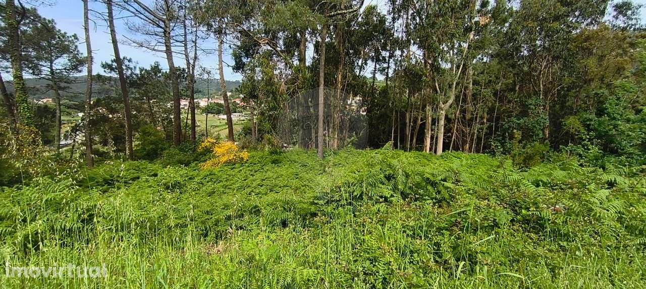 Terreno  para venda - Grande imagem: 3/5