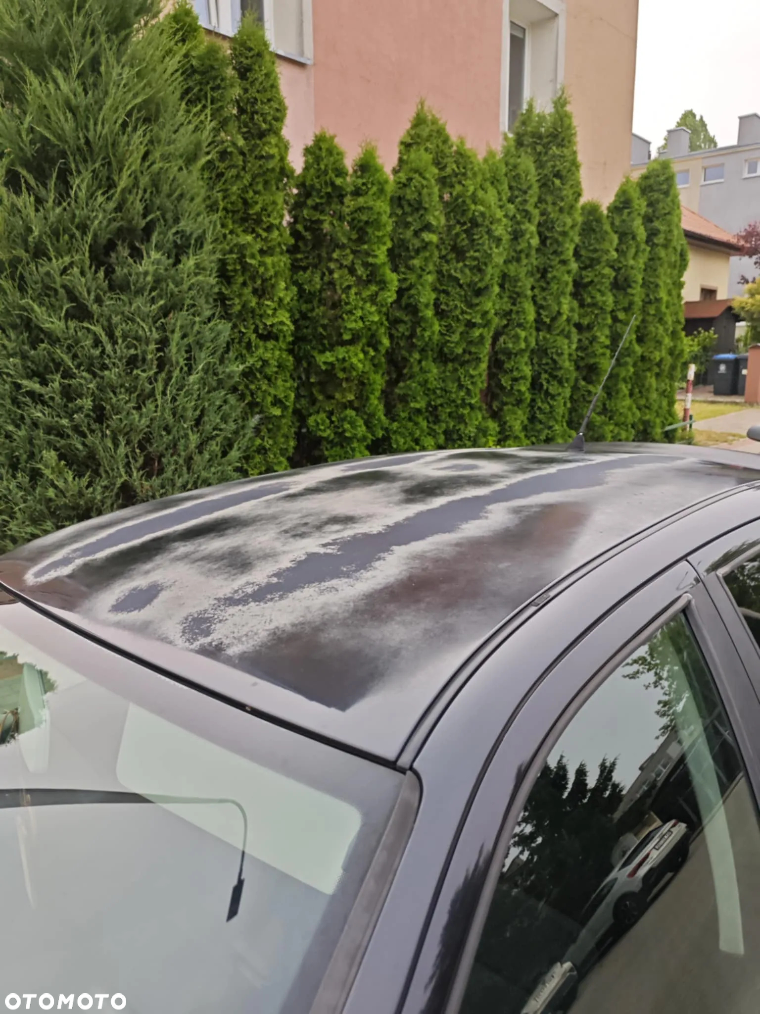 Seat Leon 1.8 T Top Sport - 8