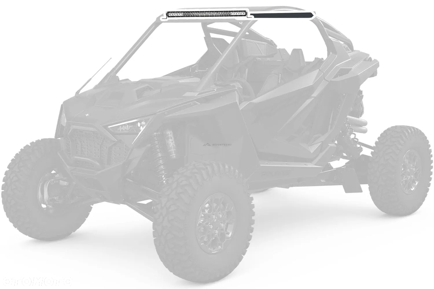 Polaris RZR