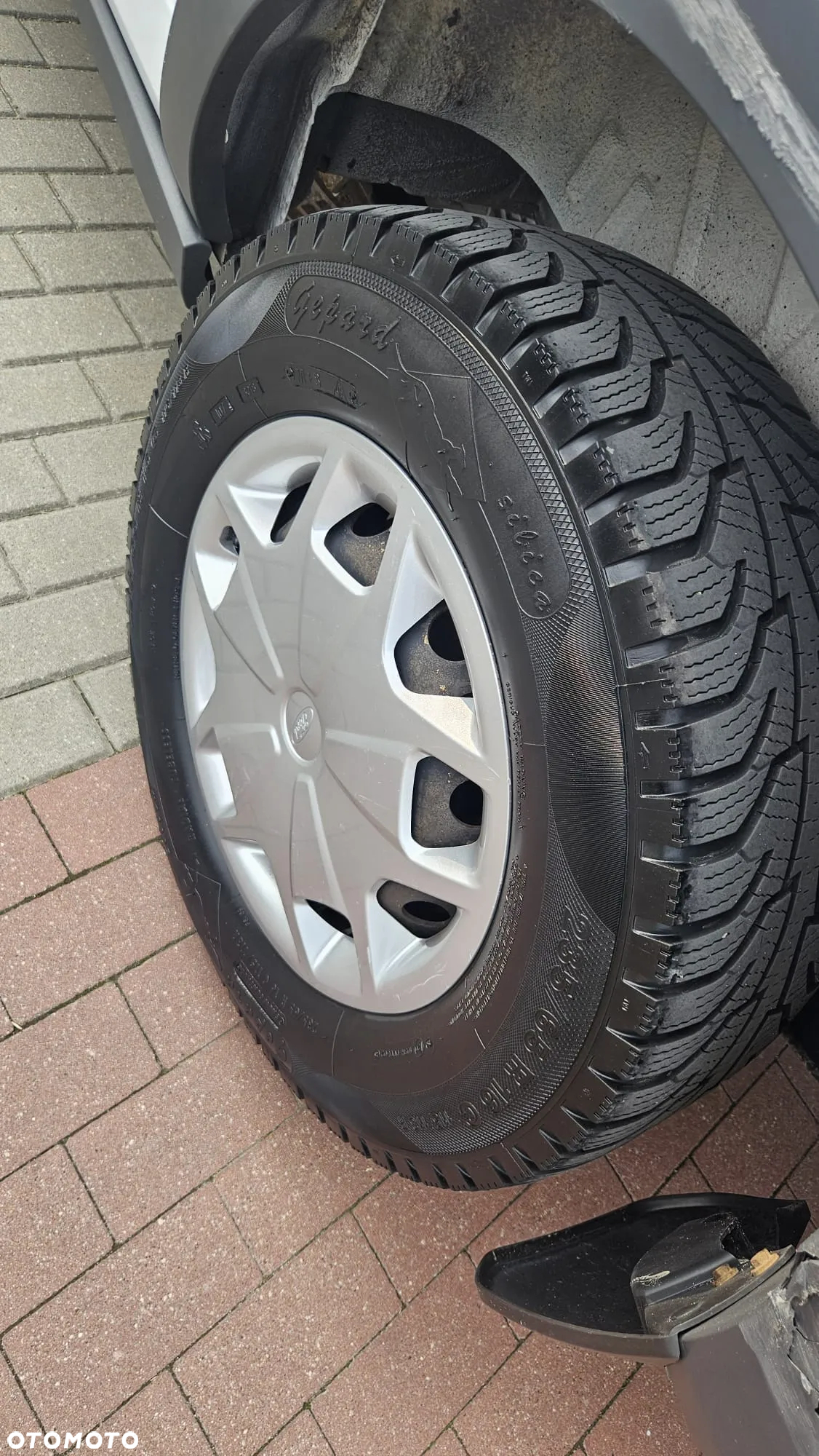 Ford Transit - 9