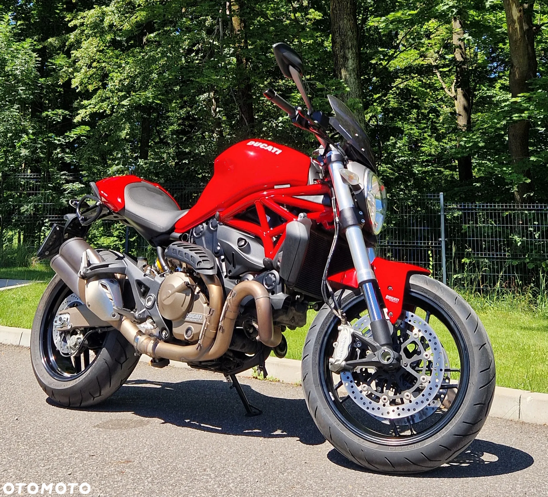 Ducati Monster - 6