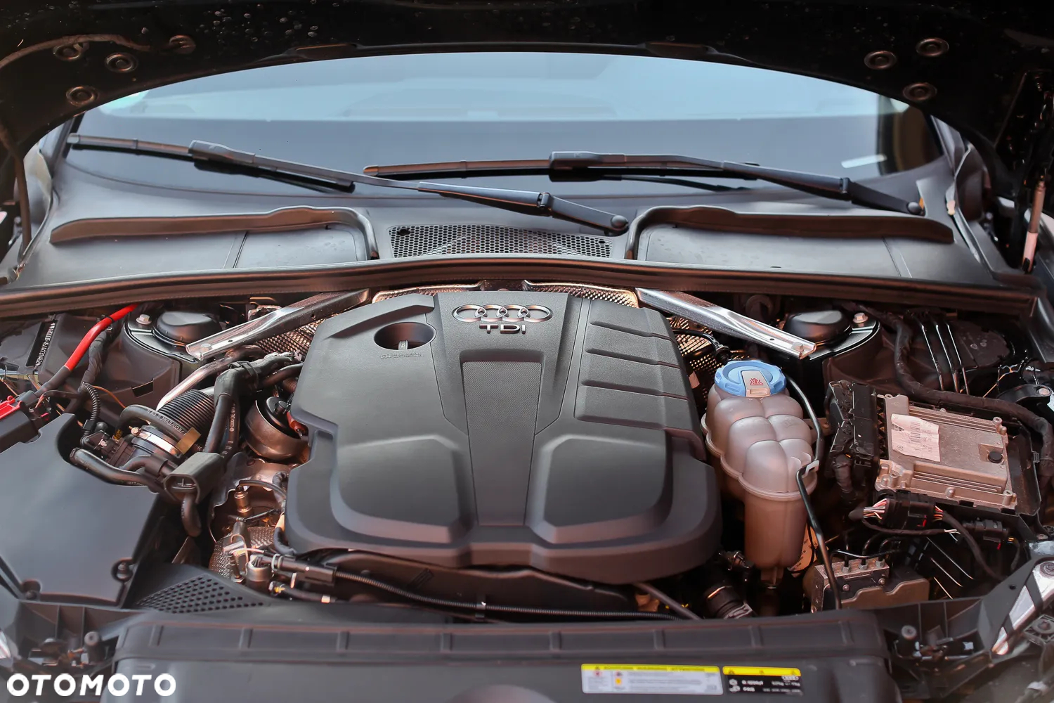 Audi A4 2.0 TDI Sport - 37