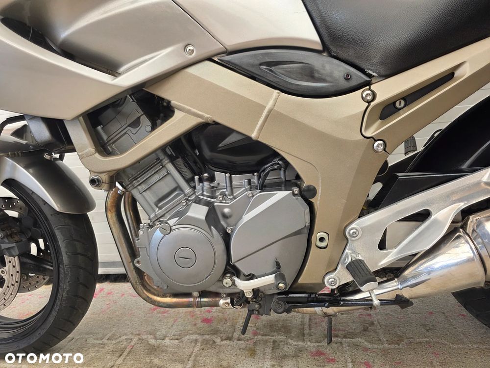 Yamaha TDM - 19