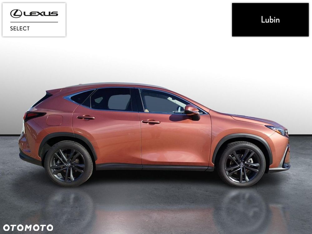 Lexus NX - 6