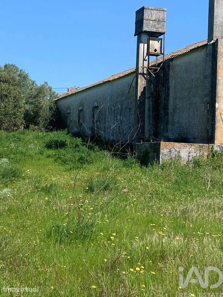 Terreno misto em Palmela - Grande imagem: 5/39