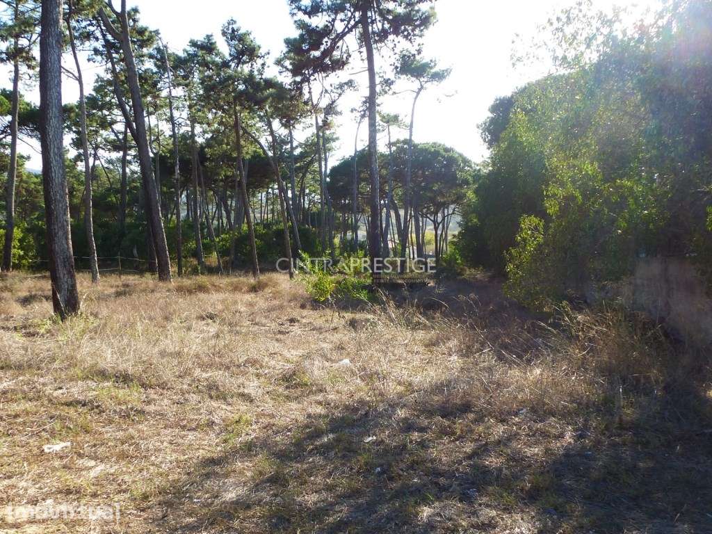 Terreno Premium com 1927,50m2 e Projeto Aprovado em Colares | Sintra - Grande imagem: 5/11