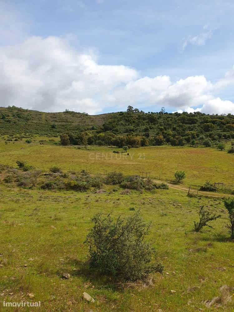 Terreno Urbano na Serra D`Ossa Redondo - Grande imagem: 3/18