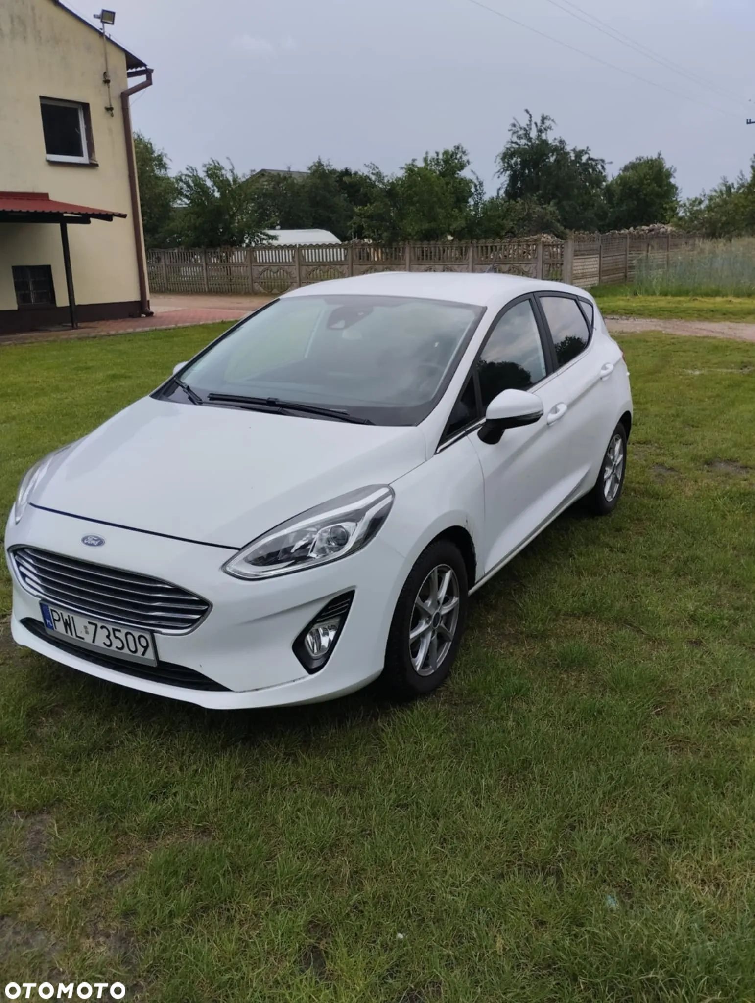 Ford Fiesta - 1