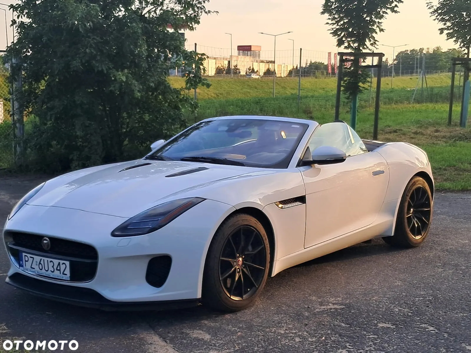 Jaguar F-Type 2.0 Turbo First Edition - 25