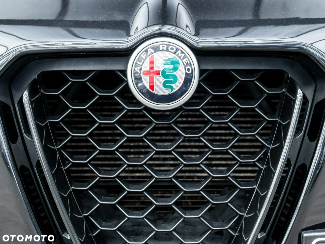 Alfa Romeo Stelvio - 12