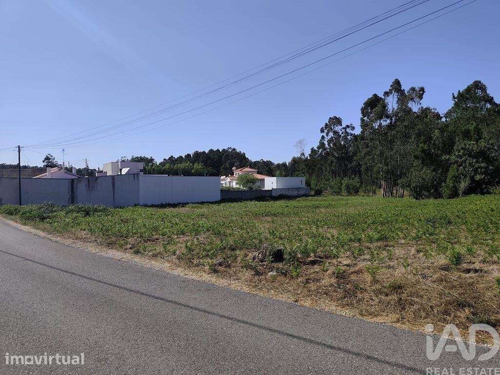 Terreno Agrícola em Maceira - Grande imagem: 2/10