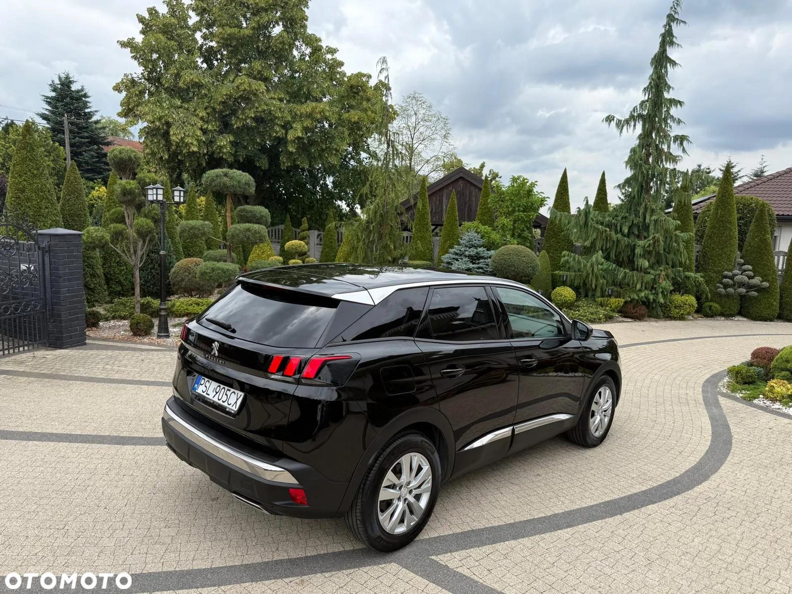 Peugeot 3008 1.5 BlueHDi Active Pack S&S - 17