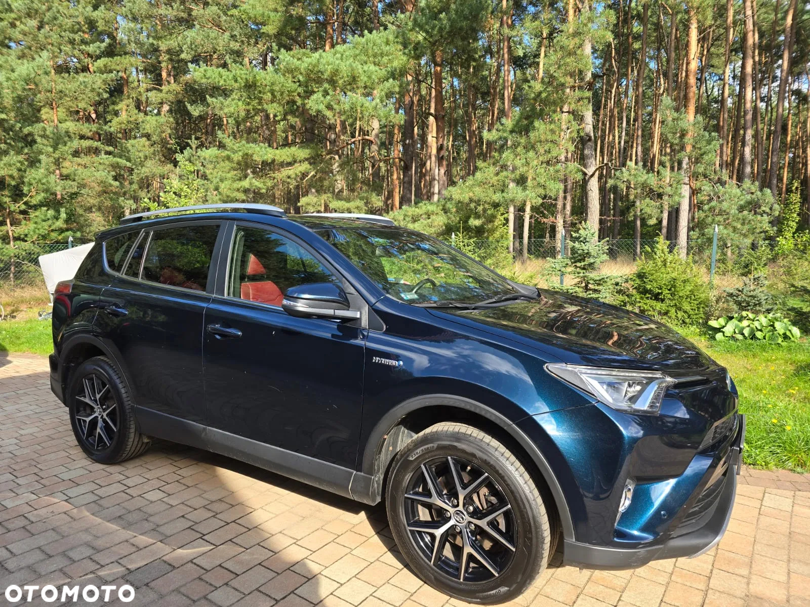 Toyota RAV4 Hybrid Prestige 4x2 - 11