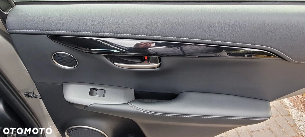 Lexus NX 300h Elite AWD - 9