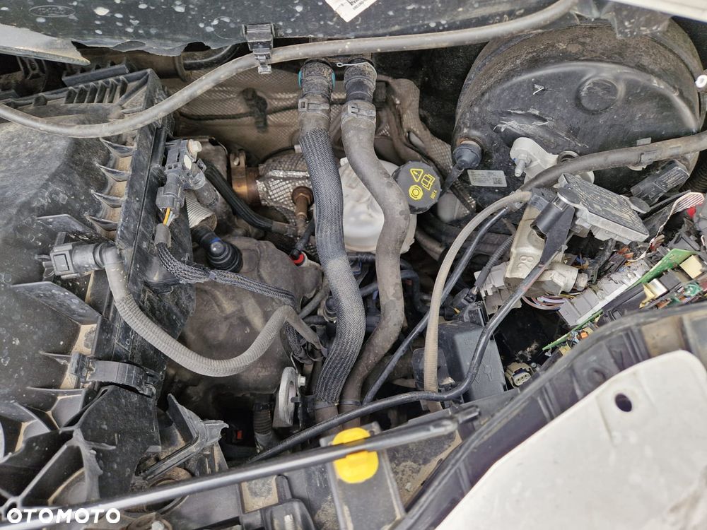 Ford Tansit - 15