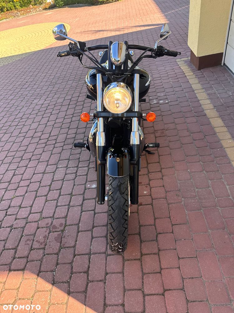 Triumph Speedmaster - 4