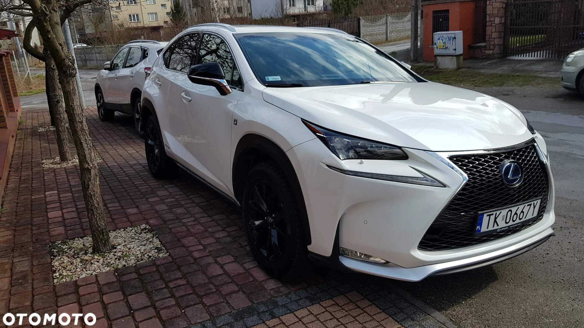 Lexus NX 300h - 15