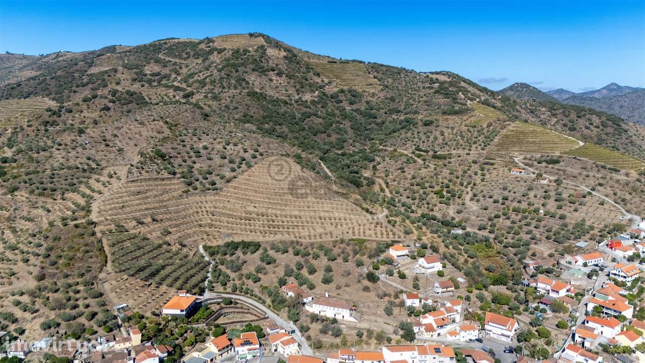 Quinta S. João da Pesqueira - Grande imagem: 3/51