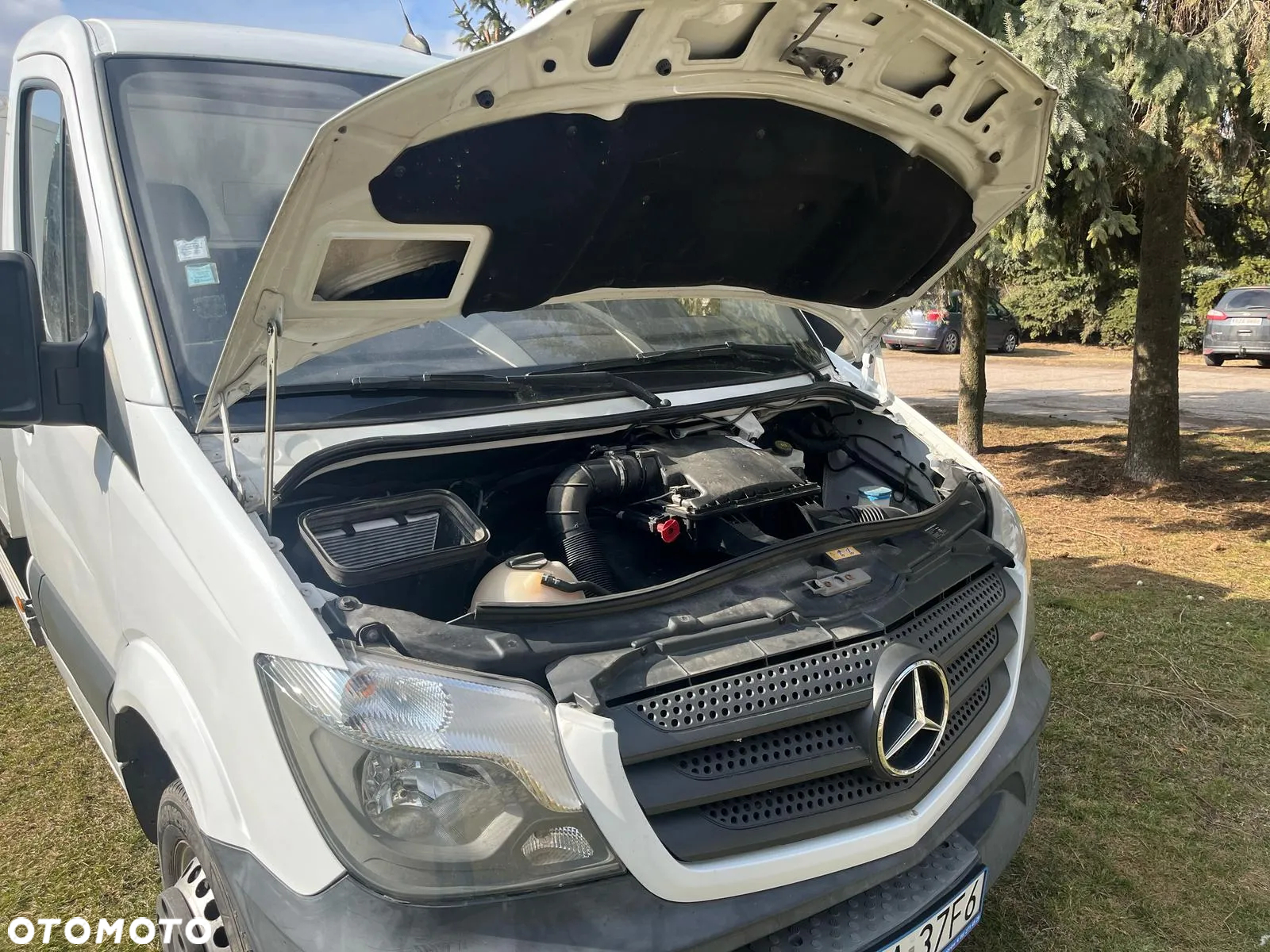 Mercedes-Benz Sprinter - 19