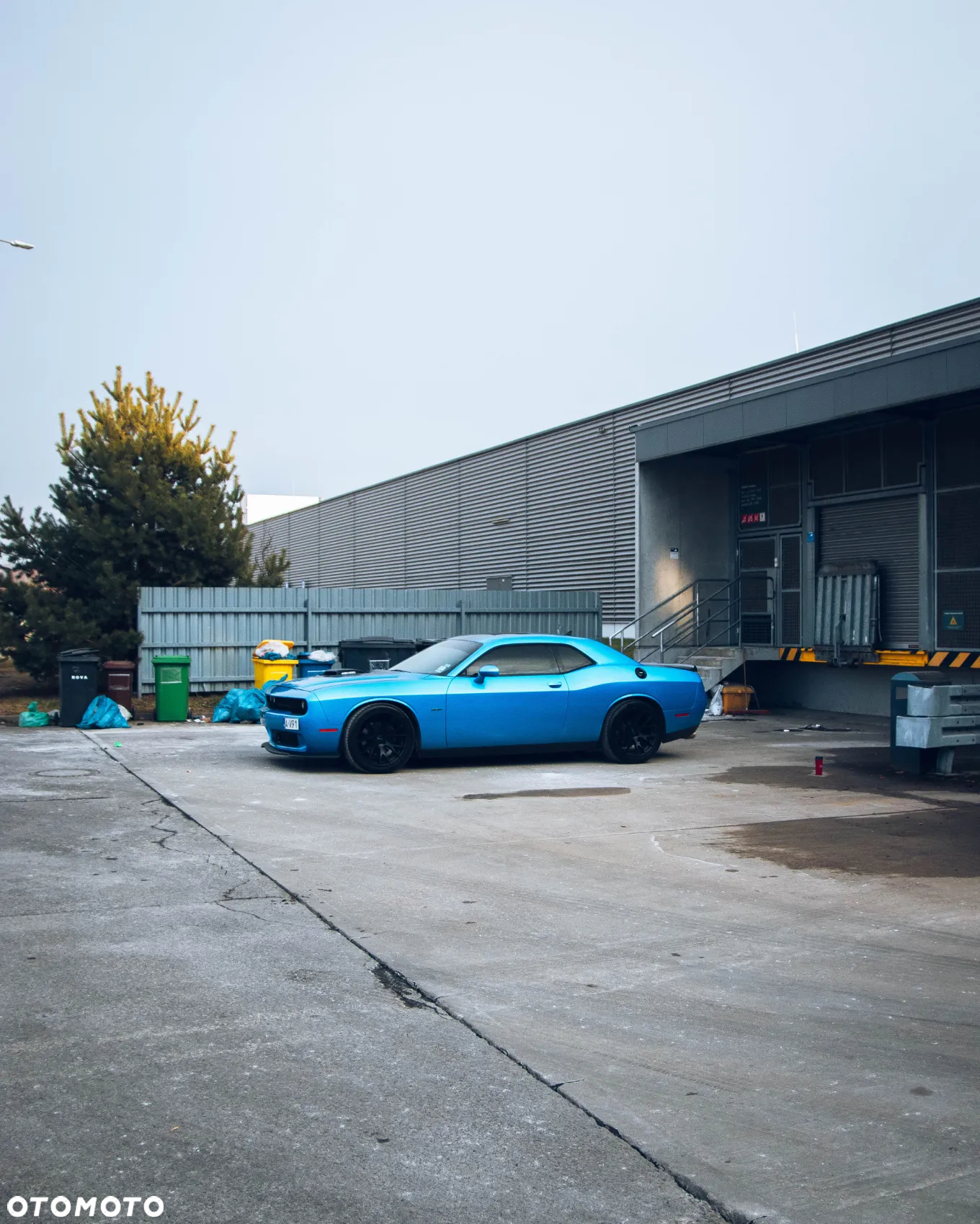 Dodge Challenger Automatik R/T Plus Shaker - 7