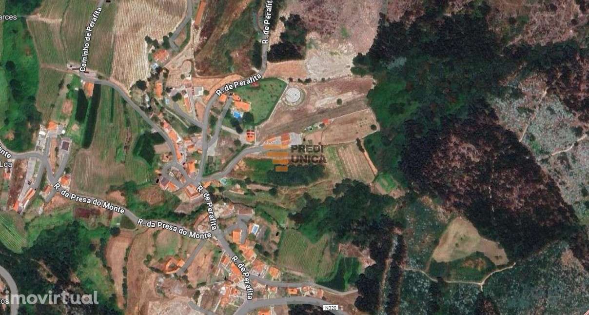 Terreno 5.000m2 Duas igrejas - Grande imagem: 2/3