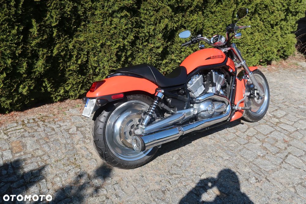 Harley-Davidson V-Rod Night Rod - 4