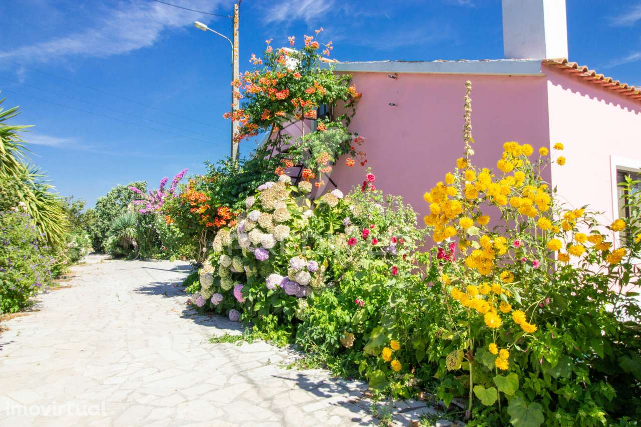 Herdade vinícola na zona do Poceirão - Grande imagem: 5/23