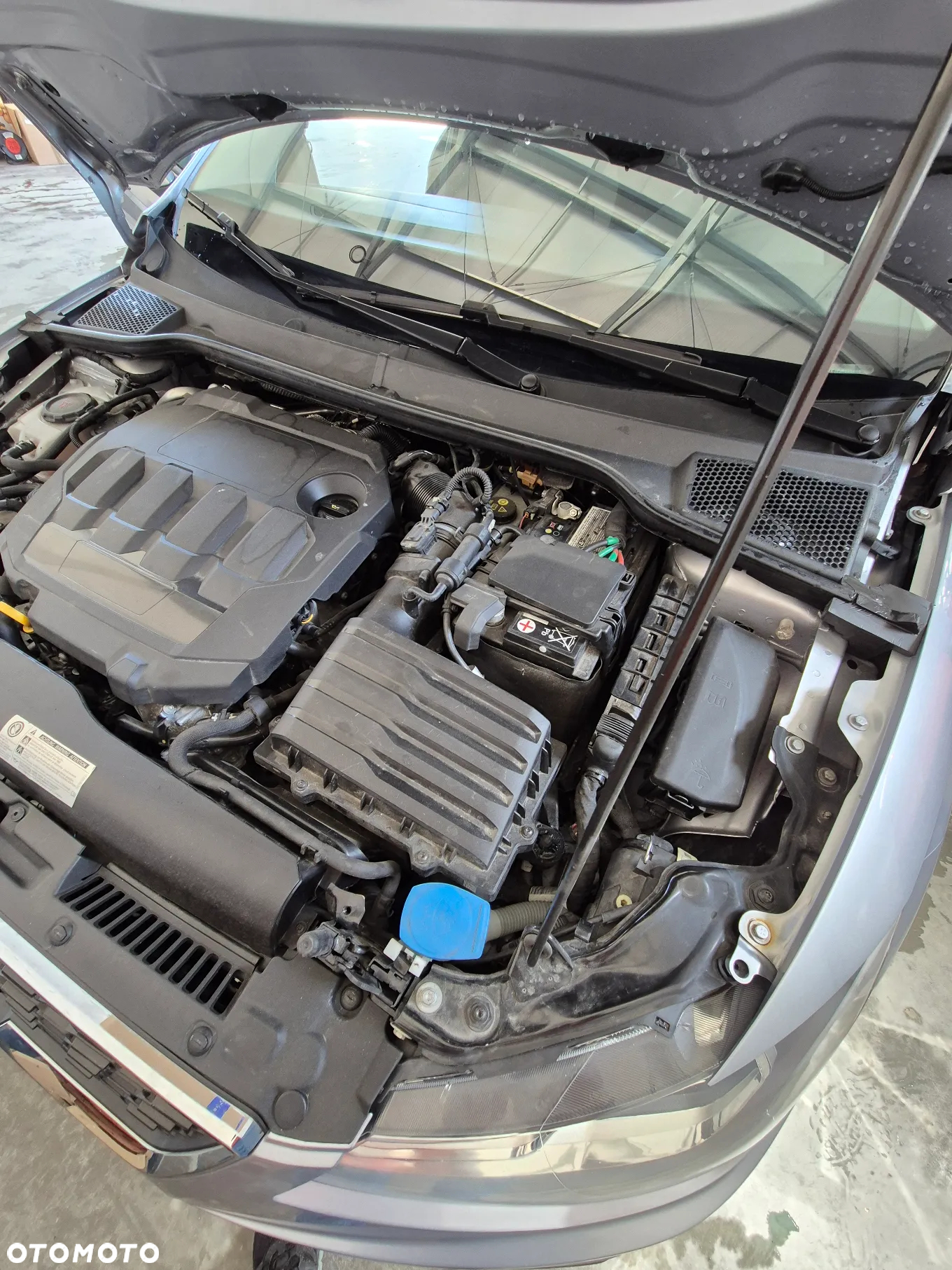 Seat Ibiza 1.6 TDI Full LED - 16