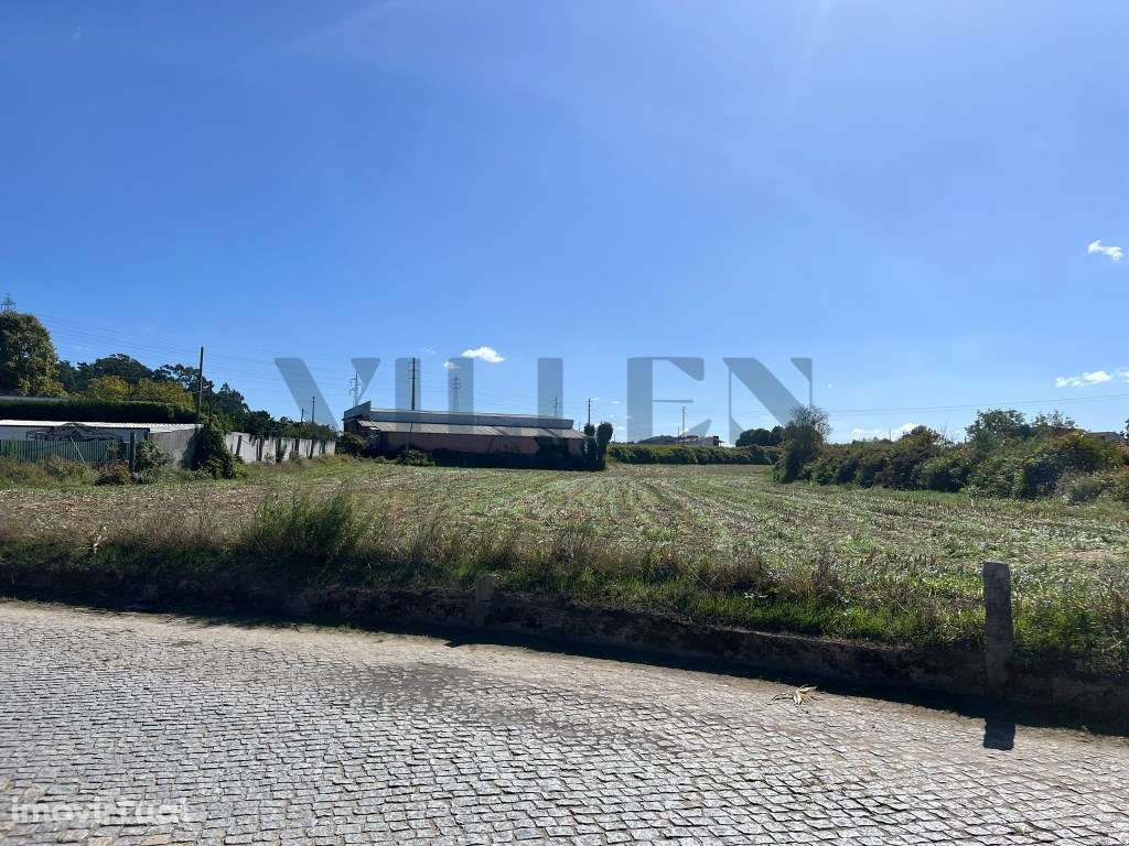 Terreno Agrícola - Maia - Grande imagem: 5/7