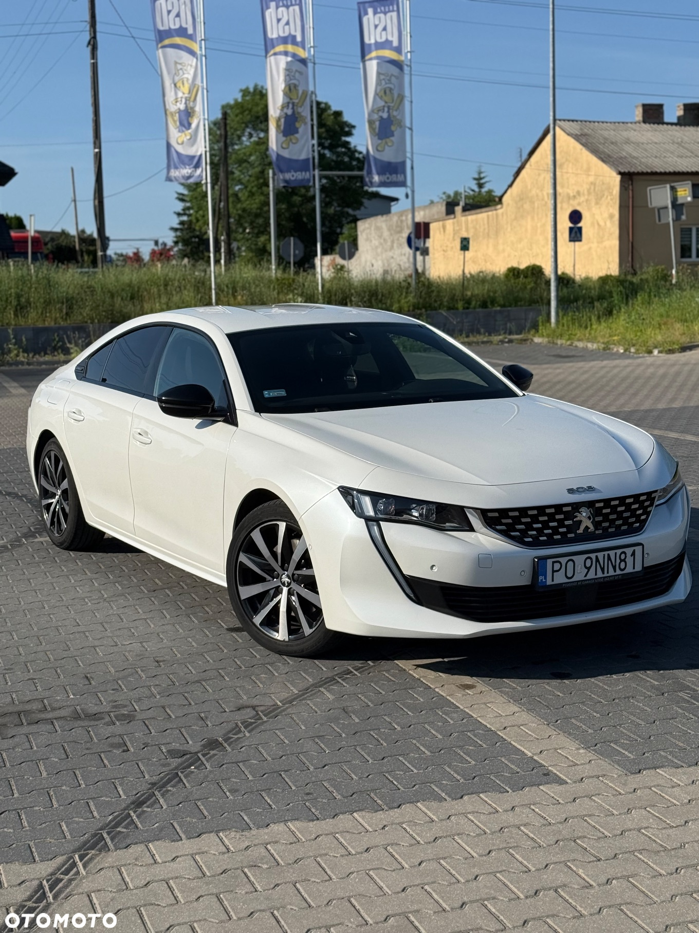 Peugeot 508 2.0 BlueHDi GT Line S&S EAT8 - 9