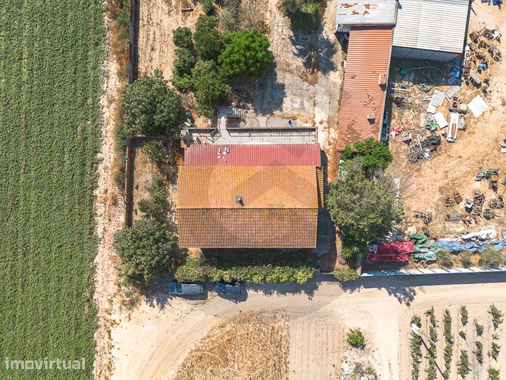 Moradia T2 com 9.540 m² de terreno em Frade de Baixo Uma verdadeira... - Grande imagem: 3/11