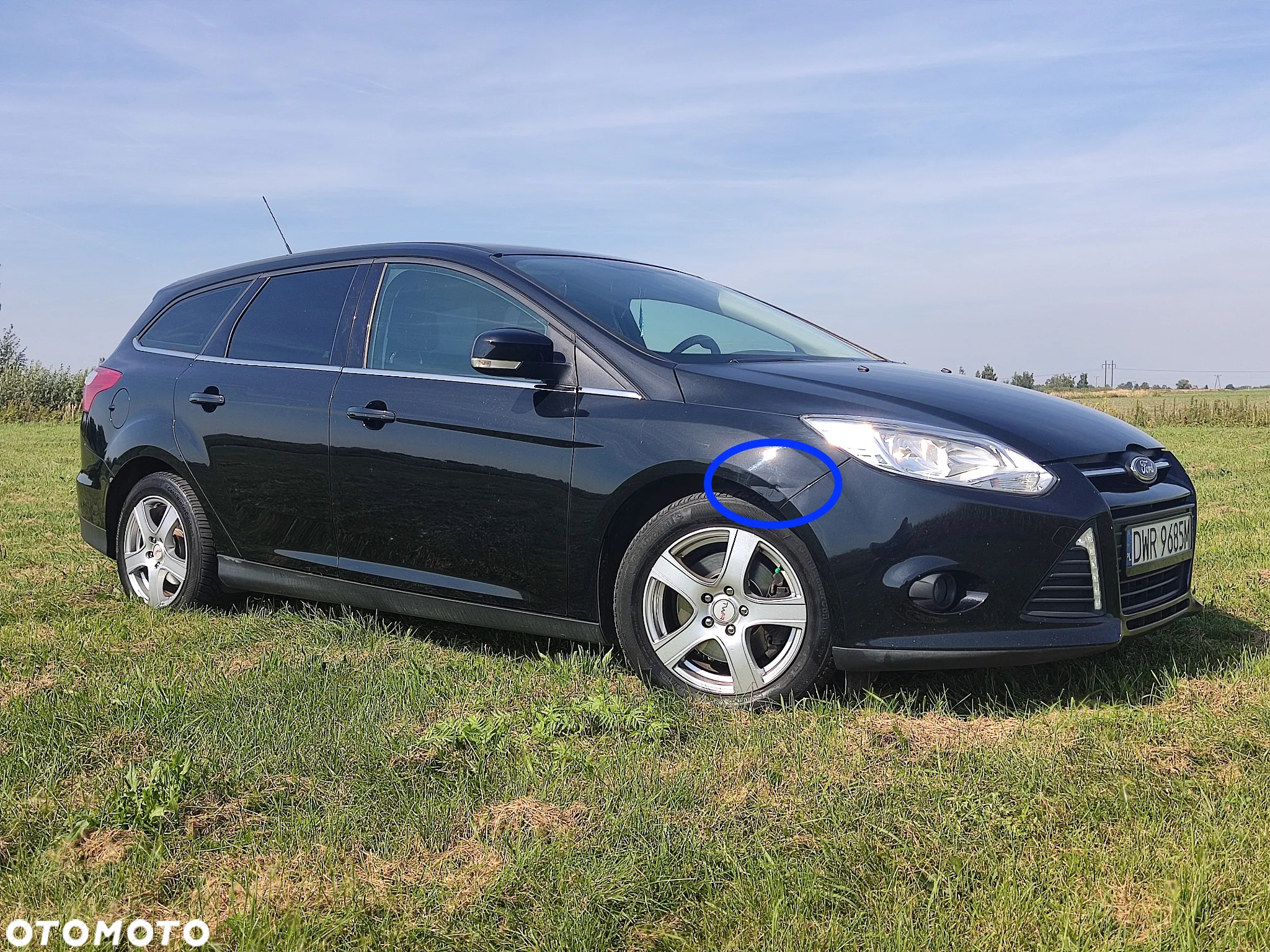 Ford Focus - 6