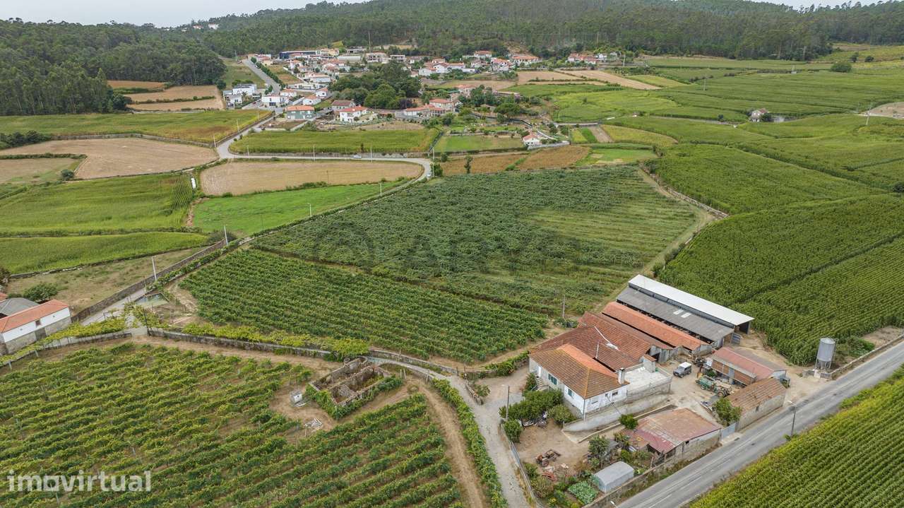Terreno Rústico com Potencial para Agroturismo - Grande imagem: 2/16