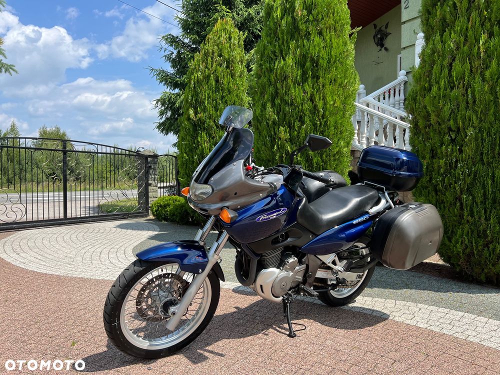 Suzuki XF - 25