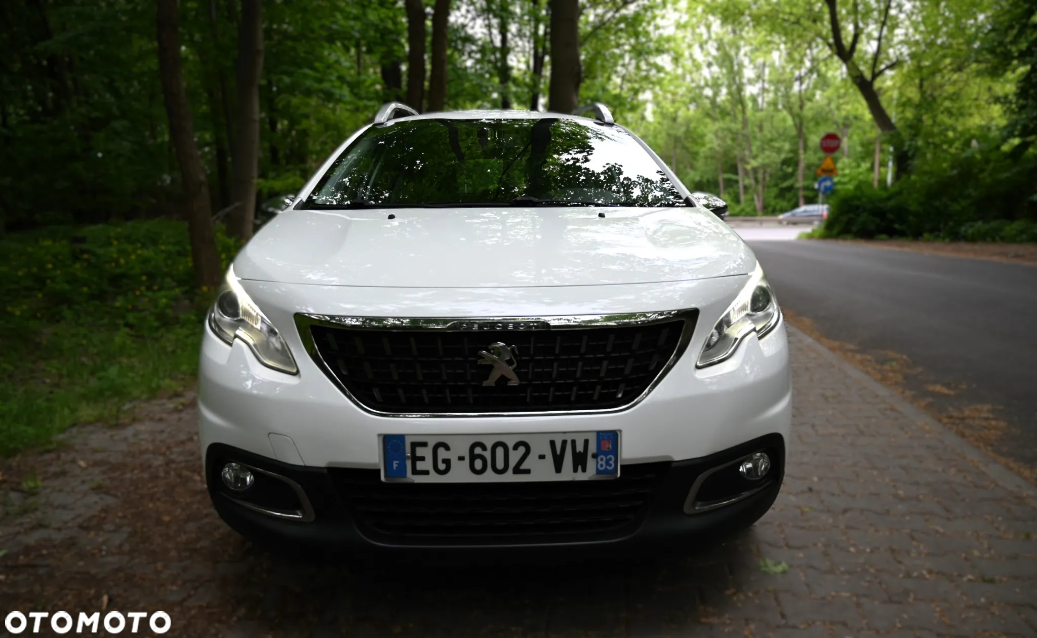 Peugeot 2008 1.6 BlueHDi Active - 5