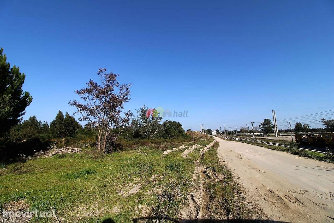 Terreno Rústico de 108.508m2 em Santo Isidro de Pegões - Montijo - Grande imagem: 3/22