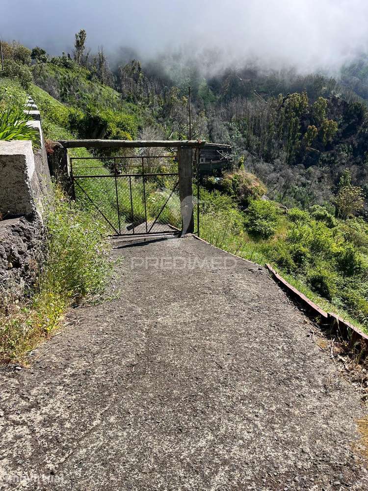 Terreno de Sonho na Serra de Água – 3.000 m² com 2 palheiros de Nat... - Grande imagem: 3/8