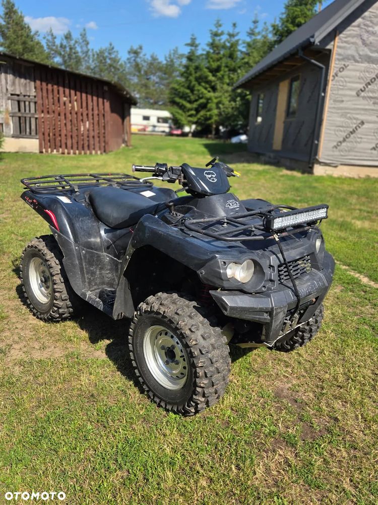 Kawasaki Brute Force - 8
