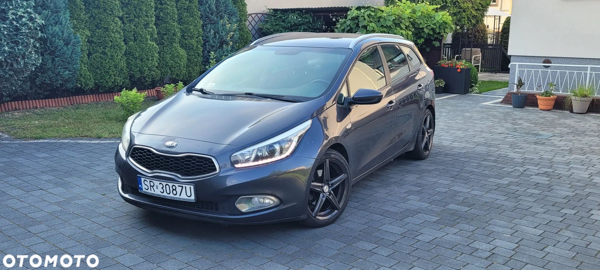 Kia Ceed - 1