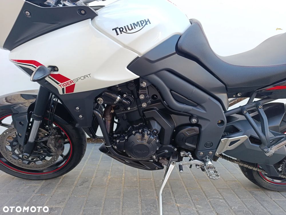 Triumph Tiger - 13