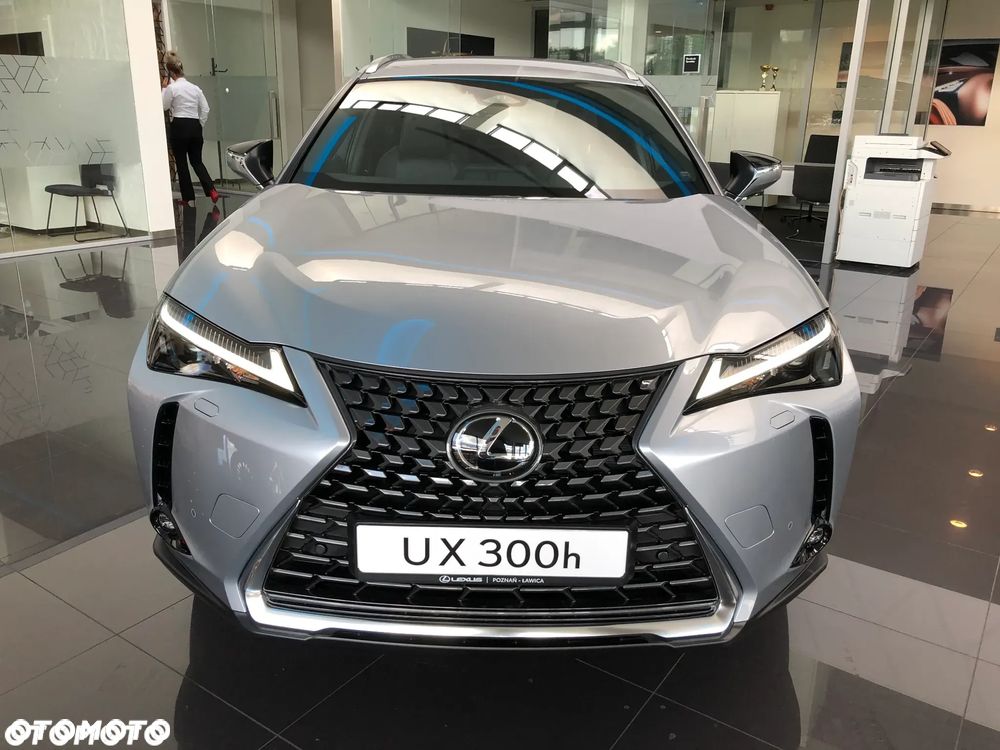 Lexus UX 300h Business - 2