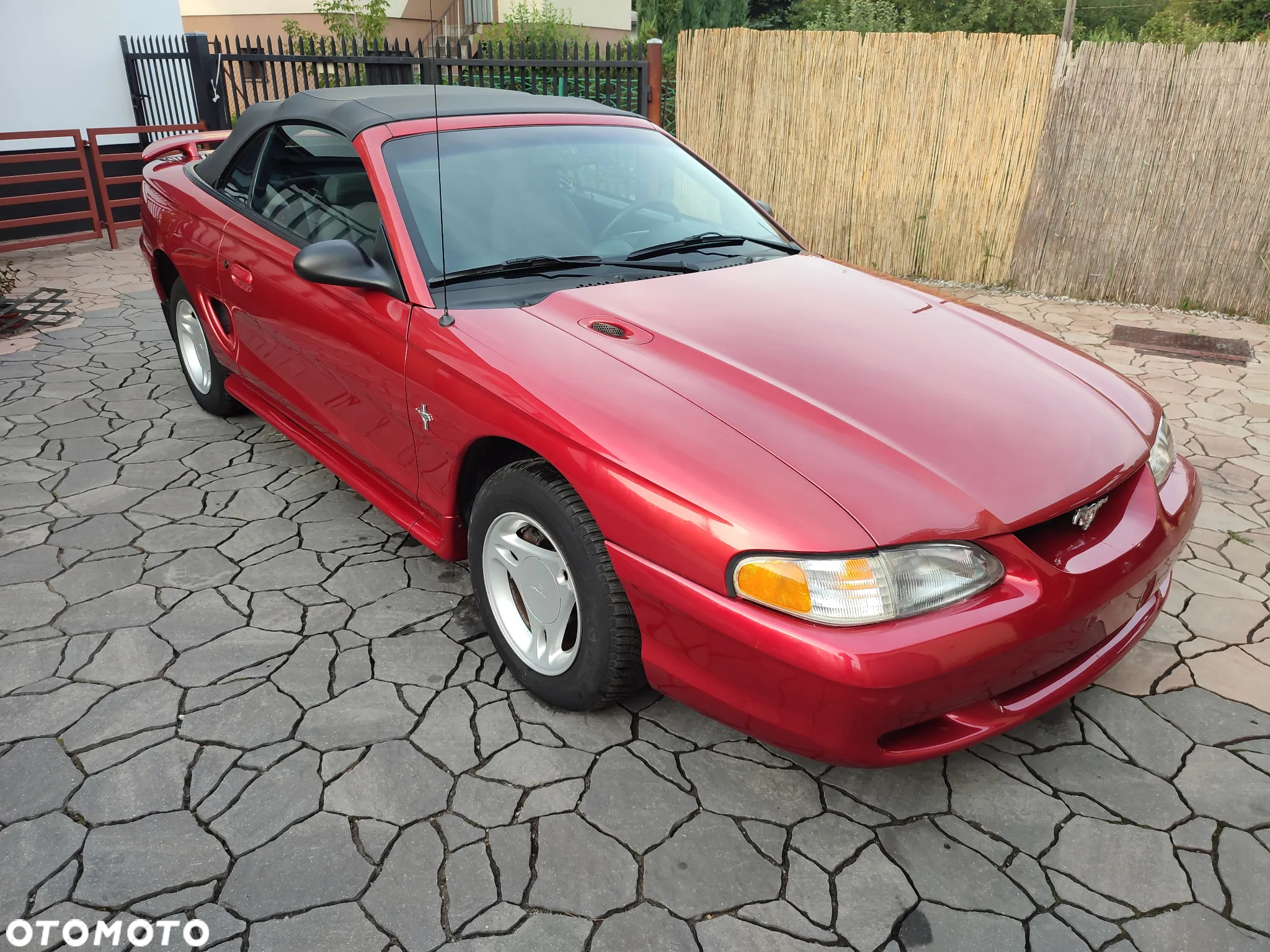 Ford Mustang - 9